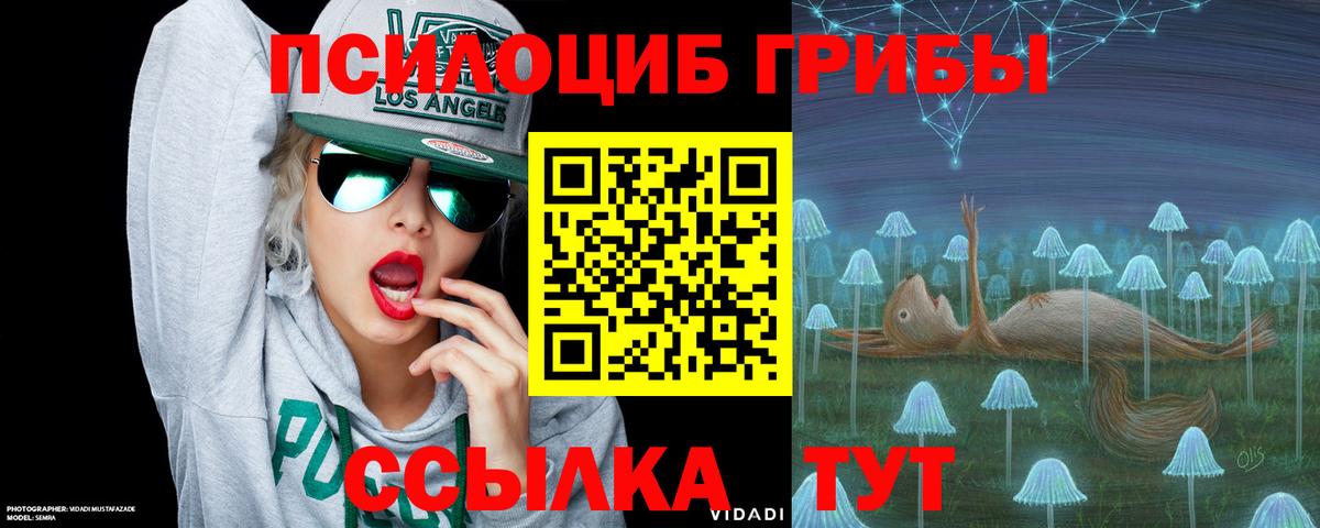 Галлюциногенные грибы MAGIC MUSHROOMS  Вход с VPN  Азнакаево 