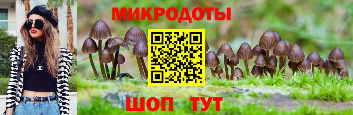 Псилоцибиновые грибы Cubensis Азнакаево